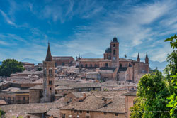 urbino